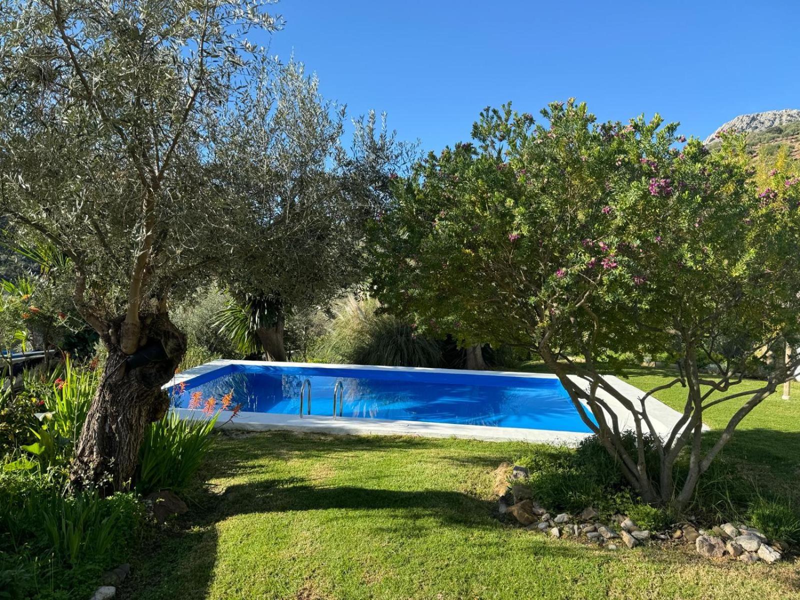 La Fontana Villa Cortes de la Frontera Exteriör bild