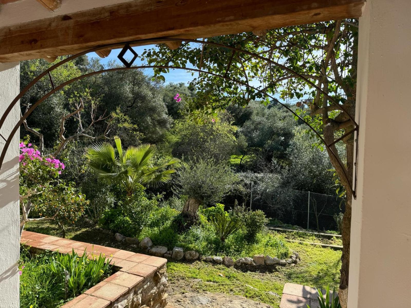 La Fontana Villa Cortes de la Frontera Exteriör bild