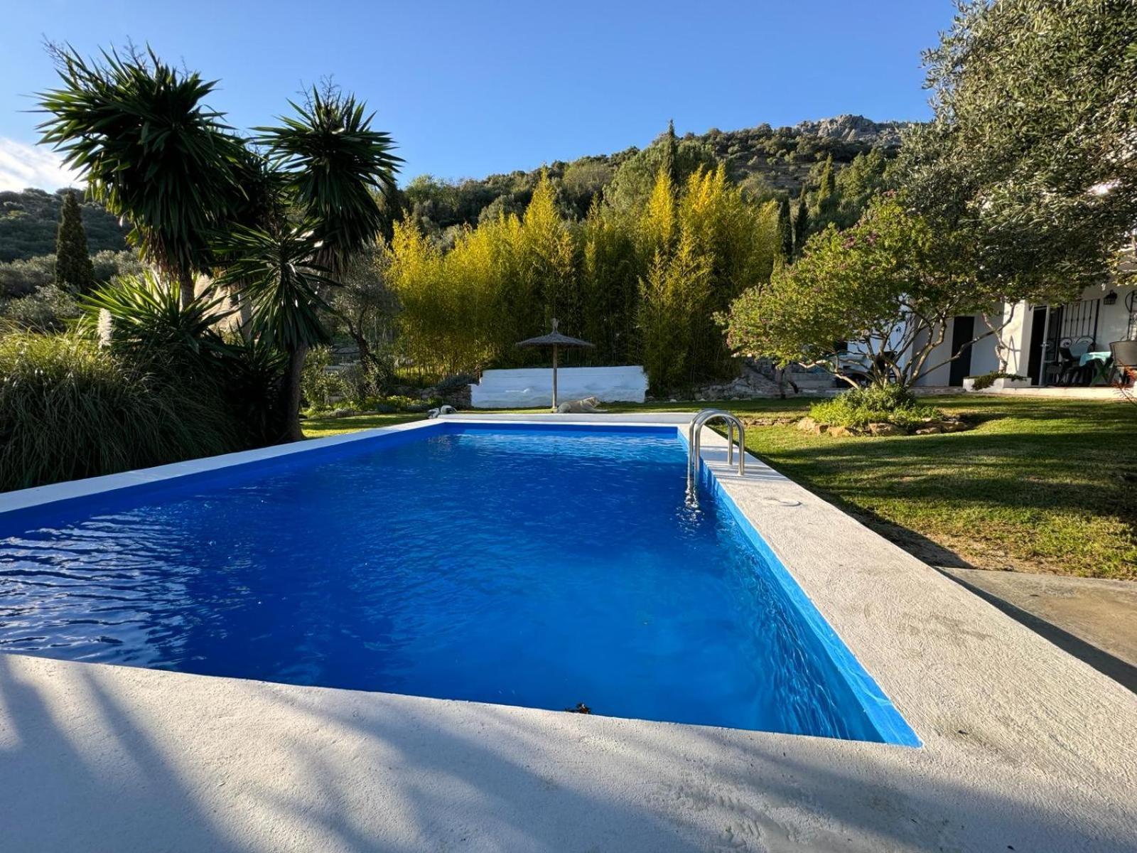 La Fontana Villa Cortes de la Frontera Exteriör bild