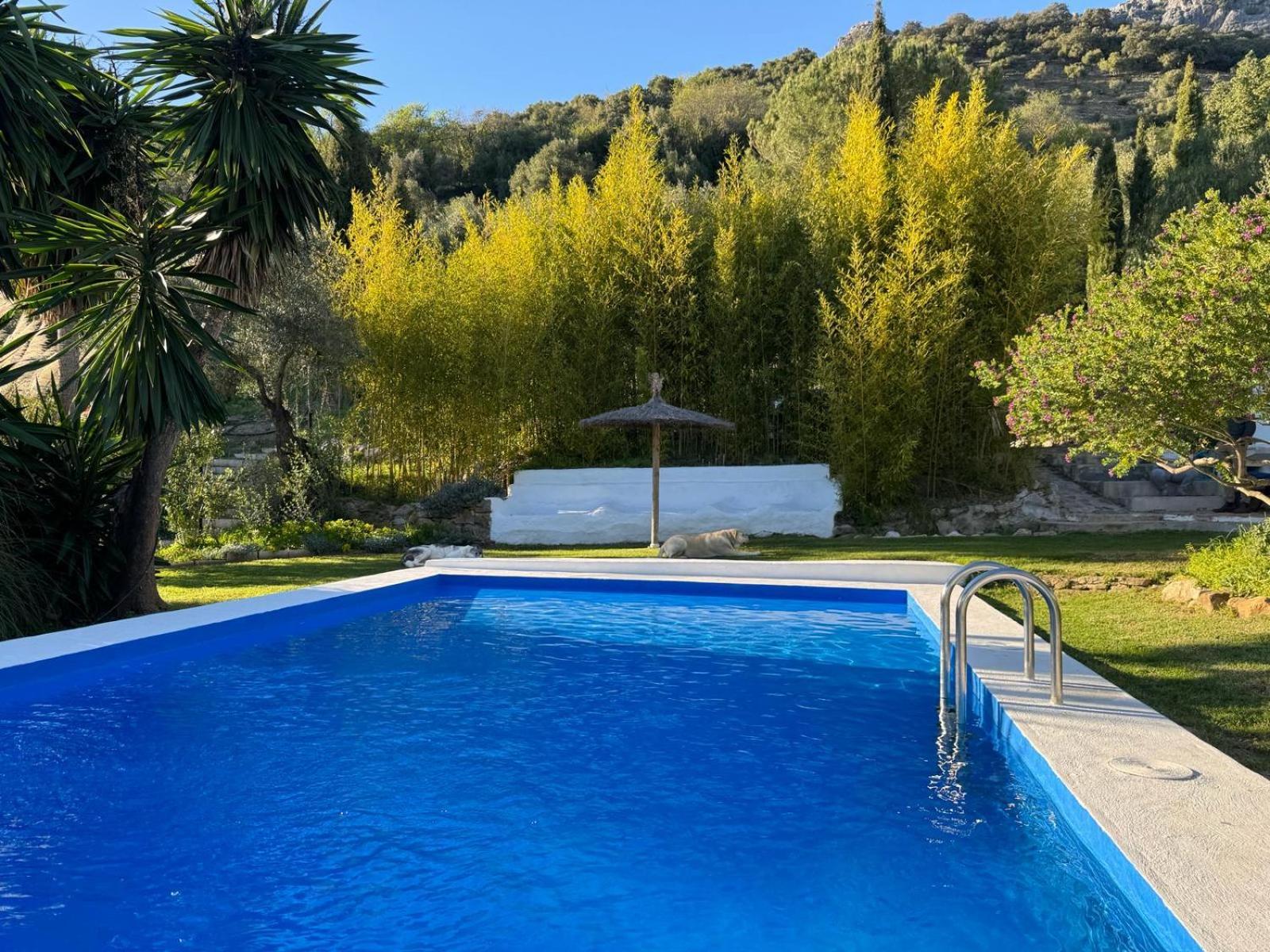 La Fontana Villa Cortes de la Frontera Exteriör bild