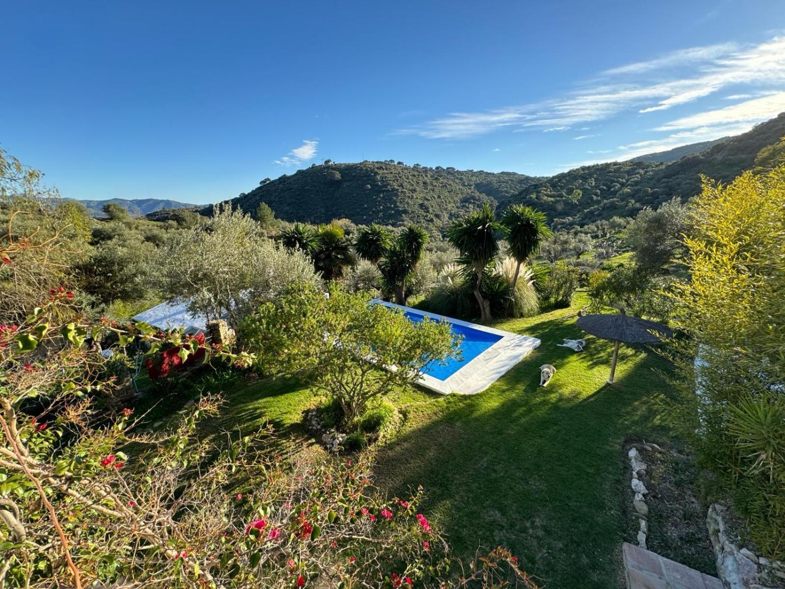 La Fontana Villa Cortes de la Frontera Exteriör bild