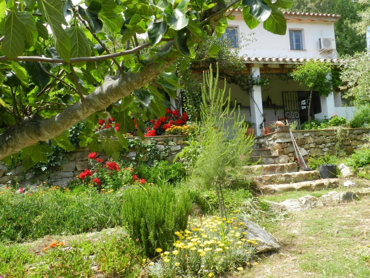 La Fontana Villa Cortes de la Frontera Exteriör bild