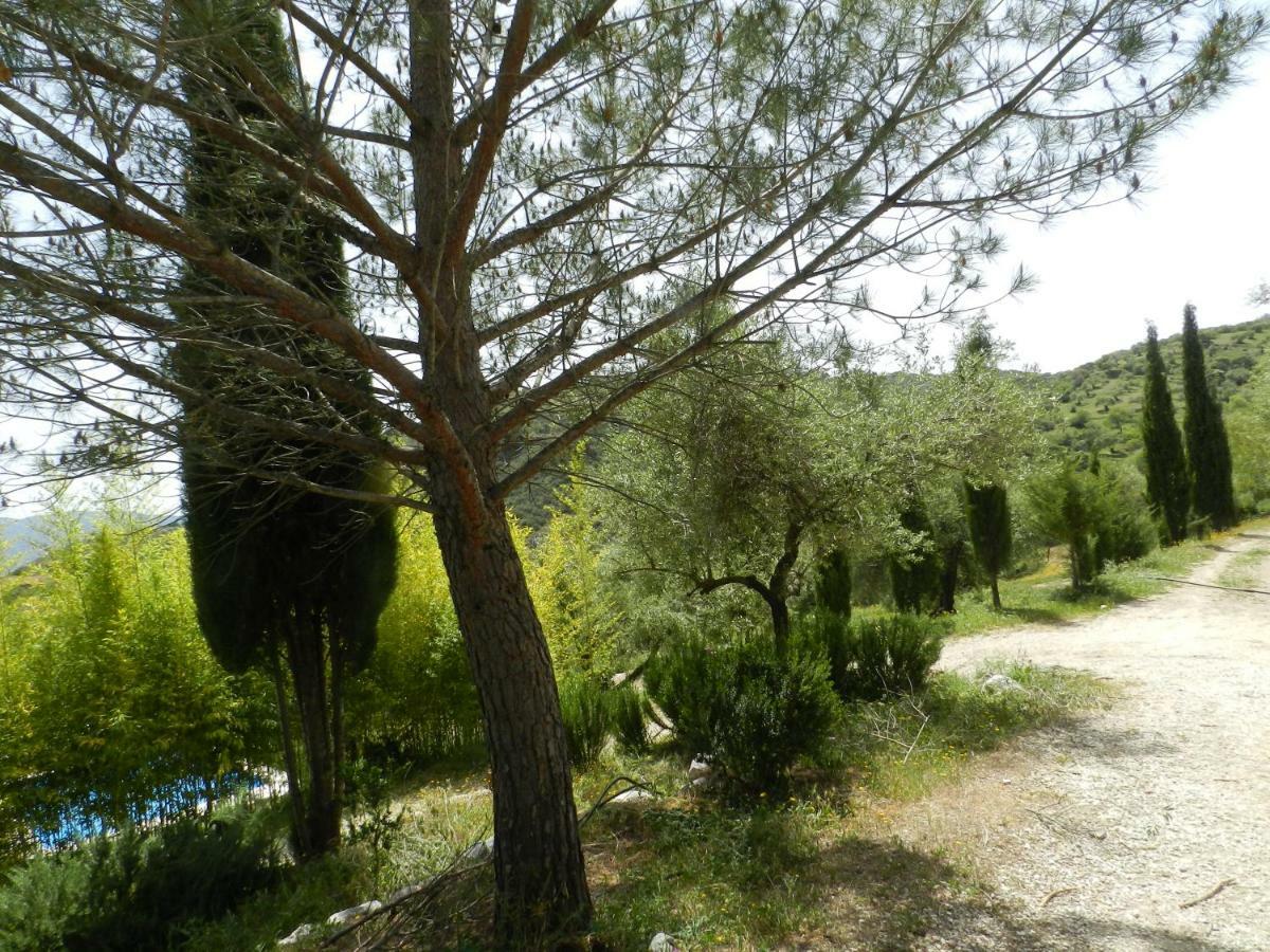 La Fontana Villa Cortes de la Frontera Exteriör bild