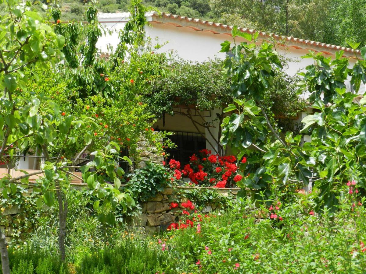 La Fontana Villa Cortes de la Frontera Exteriör bild